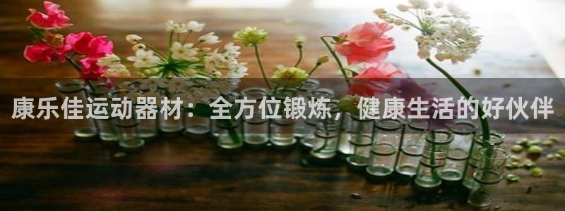 意昂4官网：康乐佳运动器材：全方位锻炼，健康生活的好