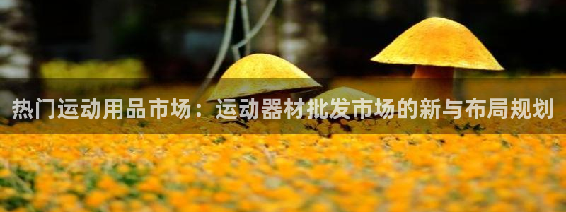 意昂体育4平台注册要钱吗是真的吗：热门运动用品市场：