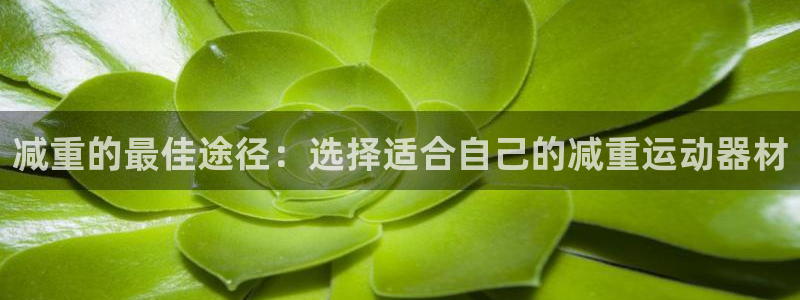 意昂平台体育