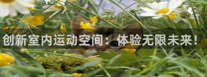 意昂4集团E.ON：创新室内运动空间：体验无限未来！