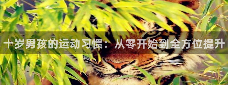 意昂体育4招商：十岁男孩的运动习惯：从零开始到全方位提升