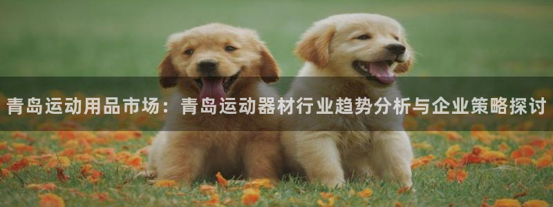 意昂平台体育