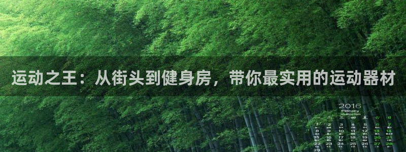 意昂体育4是干嘛的公司：运动之王：从街头到健身房，带你最实用