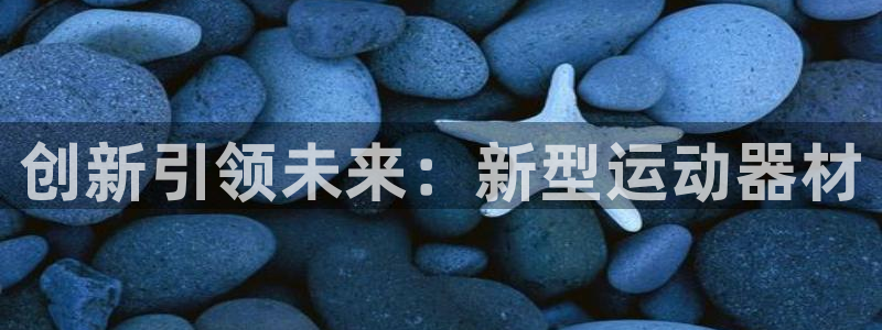 意昂4娱乐是那个系列的台子：创新引领未来：新型运动器