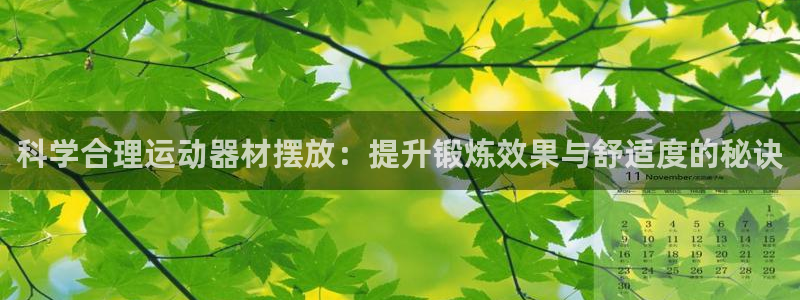 意昂体育4：科学合理运动器材摆放：提升锻炼效果与舒适