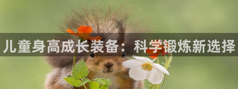 意昂4代理：儿童身高成长装备：科学锻炼新选择