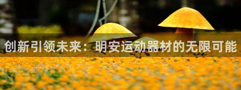 意昂4新能源：创新引领未来：明安运动器材的无限可能