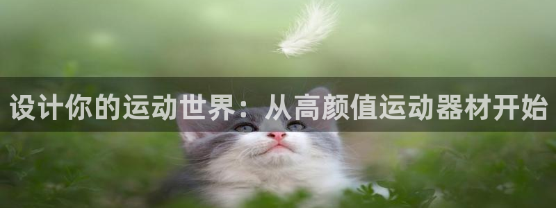 意昂4娱乐40996：设计你的运动世界：从高颜值运动